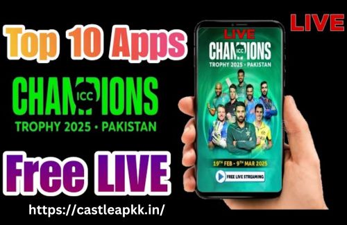 How to Use Castle Mod APK for Live Cricket Matches